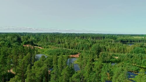 Aerial drone forward moving shot over a lake in the middle of the forest with green trees on a