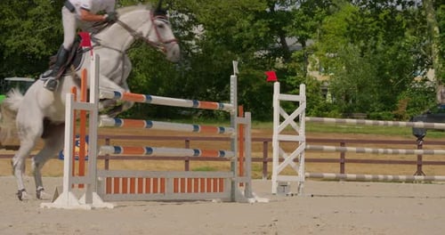 White Horse and Rider Jumping Over Fence