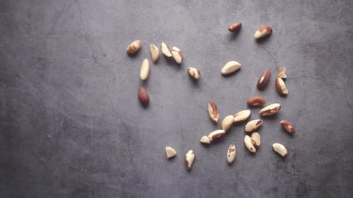 Slow Motion of Brazilian Nut Dropping on Black Background