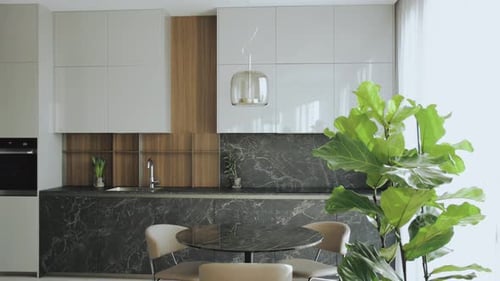 Modern Kitchen Interior with Marble and Green Plant