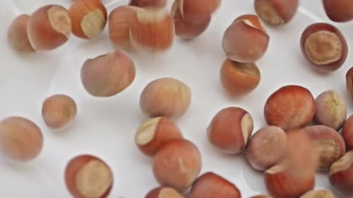 Hazelnuts Falling in Slow Motion