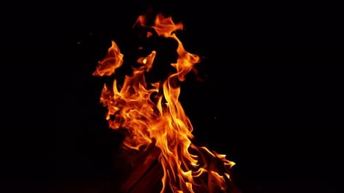 Wooden logs put in a pile burn with bright fire. Campfire blown to the left by the wind.