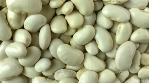 Pile of Large Creamy White Beans Close Up