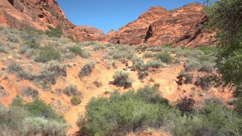 Female Hiker on Dry Path in Desert Landscape of Utah. St George Hiking Trail USA Full Frame Slow Mot