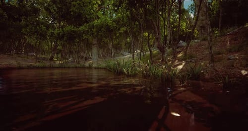Lush Forest River Environment Background Animation