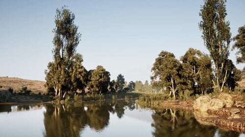 Serene Natural Lake with Trees and Mountain Landscape