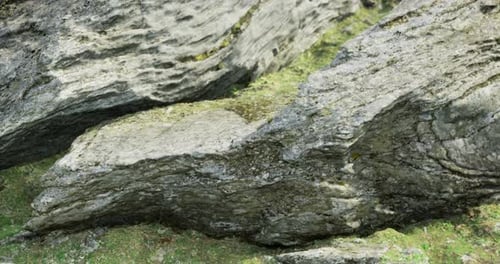 Realistic Rocks and Moss in Nature with Slow Pan
