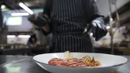 chef cook delicious meat in restaurant