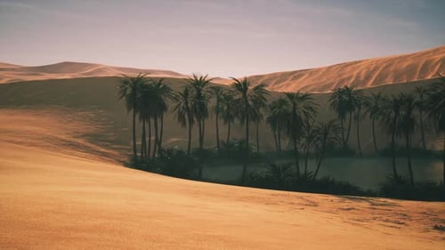 Ruhige Oase, umgeben von goldenen Sanddünen unter klarem Himmel bei Sonnenuntergang