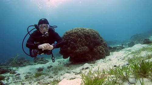 Enthusiastic Scuba Diver Swimming And Exploring Marine Life Under The Sea. underwater.