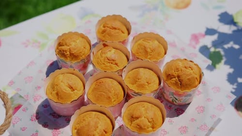 Freshly Baked Cupcakes on a Picnic Table