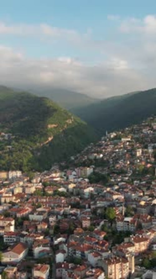 Wide Green City View