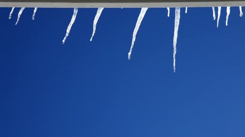 Close Up of Icicles on Blue Background Abstract