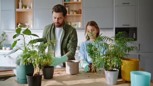 Dad and Daughter Repotting Plants Together in Kitchen