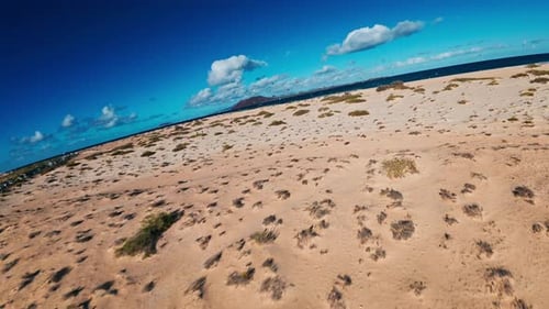 Drone Shot of Beachgoers and Kitesurfers on Sandy Beach