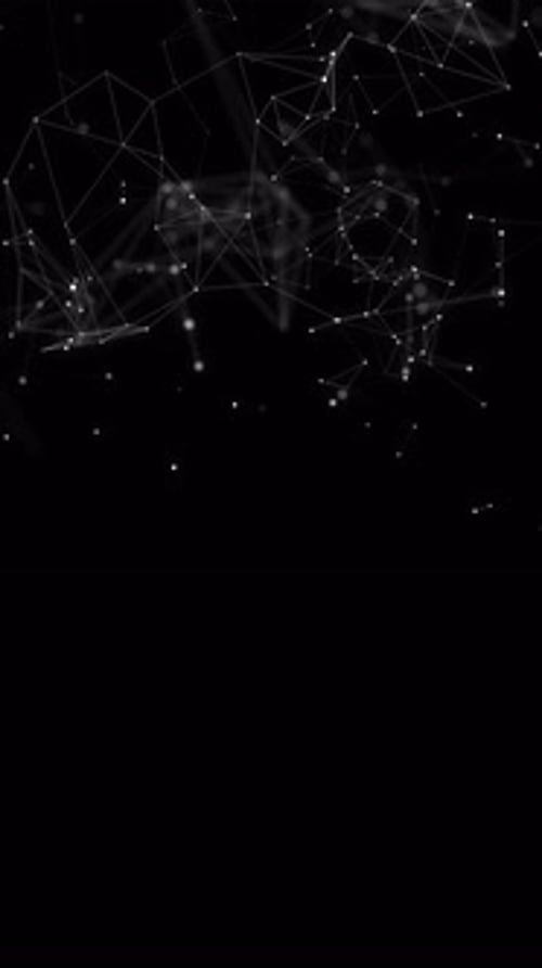 Futuristic Plexus Network Reveal Animation