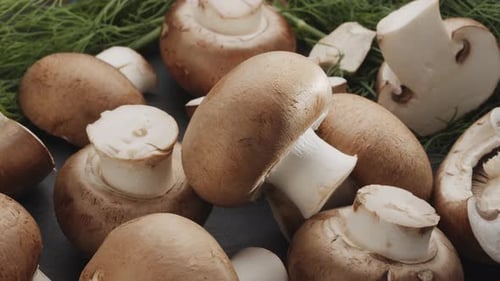 Des champignons avec des tranches de champignons se déplacent lentement dans le cadre d'une table en pierre grise.