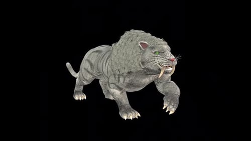 Griffe de tigre à dents de sabre