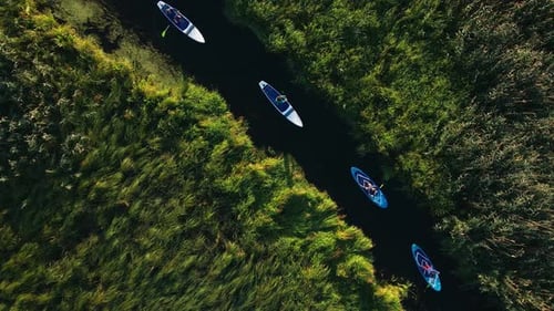 Group of Travellers Paddling on Paddleboards in Narrow Channel