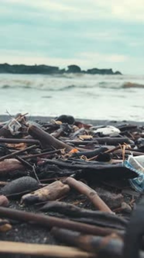 Volunteers Clean Up Pollution Along the Stunning Shoreline of Our Oceans