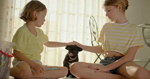 Girls Petting Small Dog Together Indoors