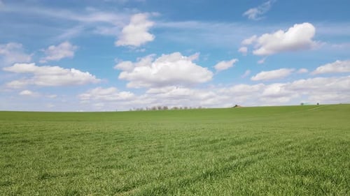 Green Meadows And Cloudy Blue Sky
