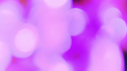 Hintergrund mit lila Bokeh-Lichtern
