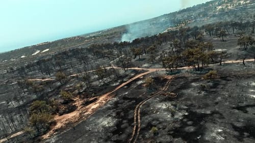 Blazing Forest Fire Seen From Above As Smoke Clouds Rise From Burning Trees