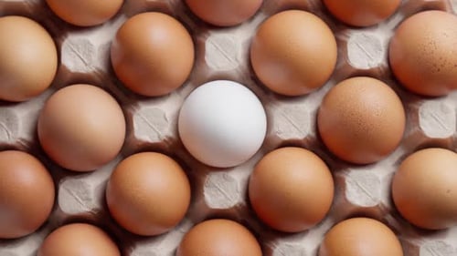 Eier im Eierkarton Rotierende ungekochte weiße und braune Eier Bio-Lebensmittel