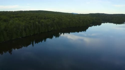 Drone view of a perfect pond surrounded by a dense forest
