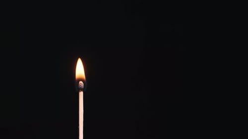 Match Ignites and Burns Down on Black Background