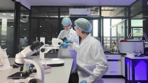 Scientists Working with Microscopes in Bright Lab