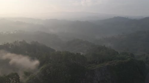 Aerial Foggy green forest with canopies of spruce trees and sunrise rays shining through branches in