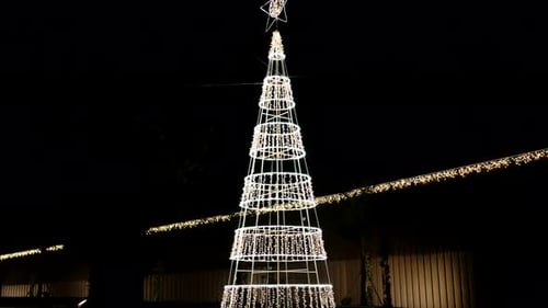 Illuminated Christmas Tree at Night