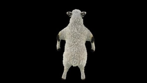Animated 3D Funny Dancing Sheep Character