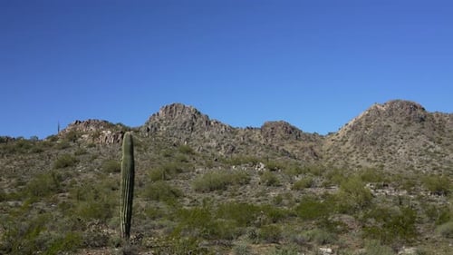 Malerische Wüstenlandschaft von Arizona mit Kakteen und Bergen