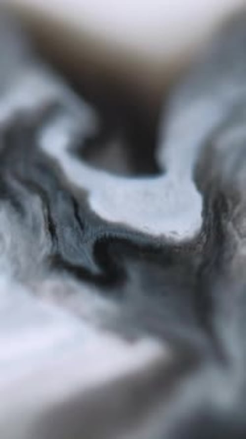 Macro Abstract Close-Up Texture Pattern