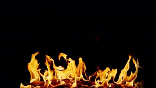 Burning Fire Flames Isolated on Black Background