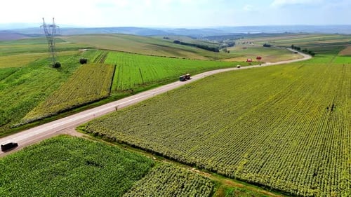 Green fields line a winding country road. T