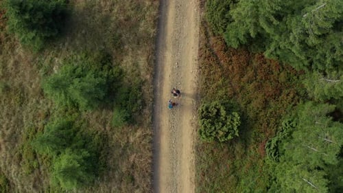 Hiking Couple in Sunny Woods Scene
