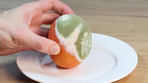 Moldy Fruit