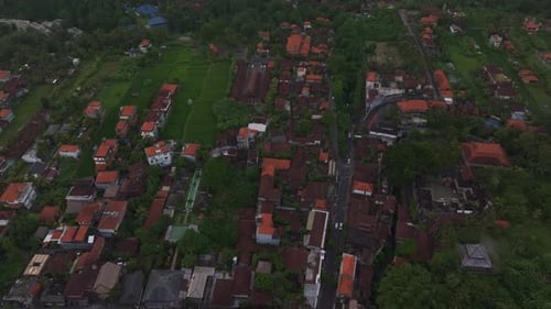 Aerial view of rice fields and palm trees at sunset in Ubud, Bali, Indonesia.