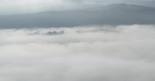 Aerial Drone Footage of Misty Fog Blowing Over Pine Tree Forest on a Beautiful Morning
