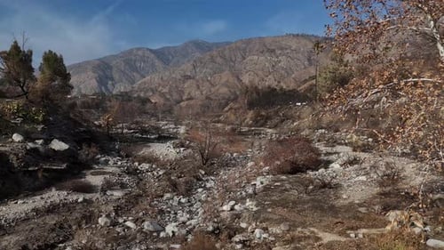 Consequências do incêndio no Eaton Canyon