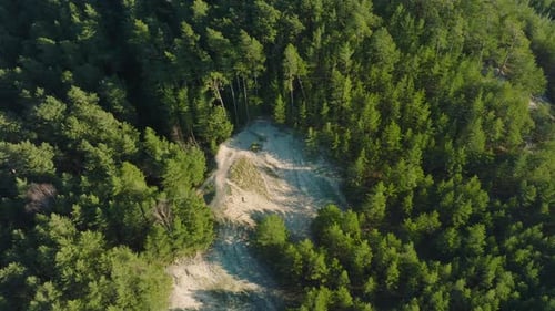 Voo aéreo sobre uma infinita floresta de coníferas em um pitoresco dia ensolarado, fotografado de cima da vasta