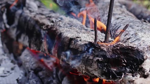 Abstract Oak Wood Bonfire In Flames Smoke And Ashes 17