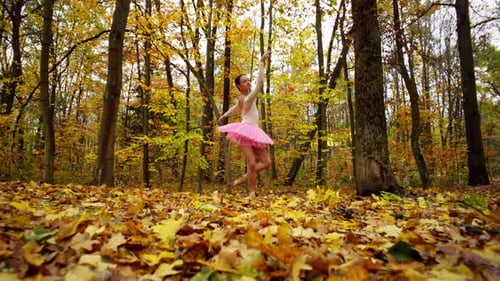 A Woman Performs a Performance in the Middle of a Large Autumn Forest