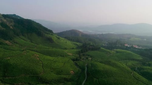 Vue par drone des plantations de thé de Munnar