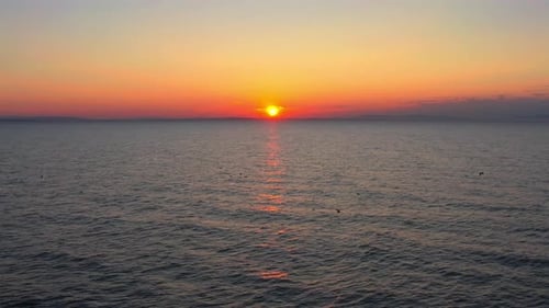 Aerial View of Flock of Birds and Sunset on North Sea at Findhorn Beach, Scotland. 4K Drone