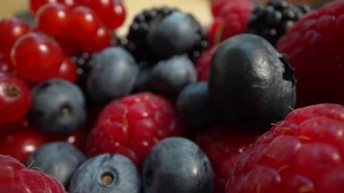 Close-Up of Colorful Mixed Fresh Berries